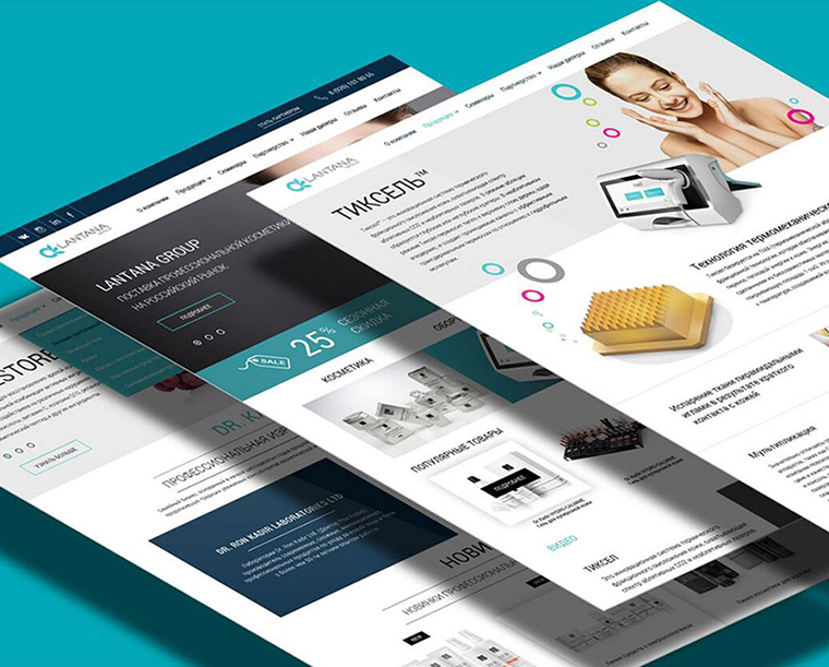 龙岗小语种(外贸)网站建设