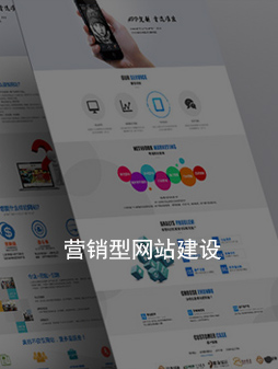 龙岗营销型网站建设