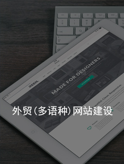 龙岗外贸(多语种)网站建设