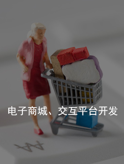 龙岗H5 响应式 自适应网站建设